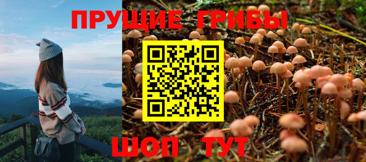 Псилоцибиновые грибы GOLDEN TEACHER Кызыл