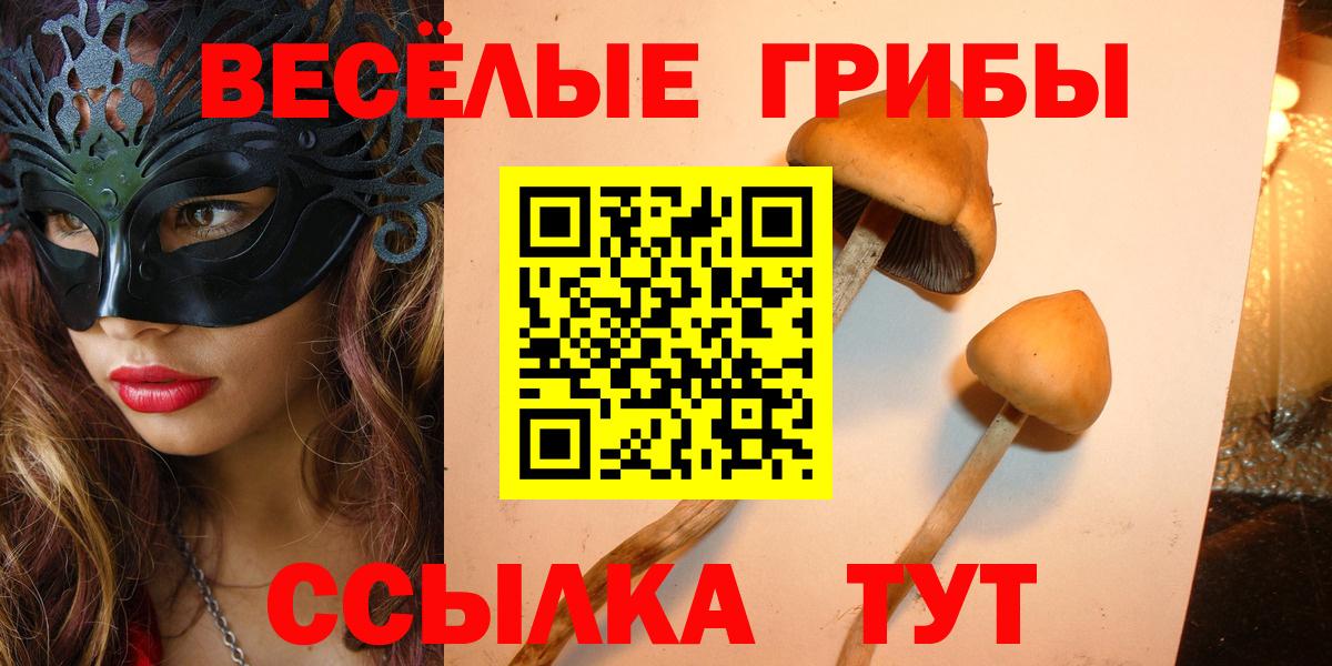 Галлюциногенные грибы Psilocybe  Вход с VPN  Псилоцибиновые грибы мухоморы  Кызыл 