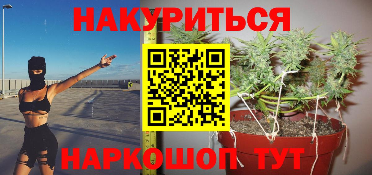 Каннабис индика  Марихуана сатива  Вход с VPN  Кызыл  Шишки марихуана White Widow 